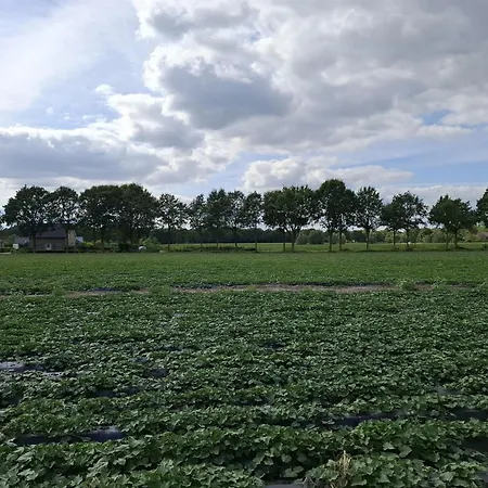 Maison d'hôtes De Strijpse Hoeve Aarle-Rixtel